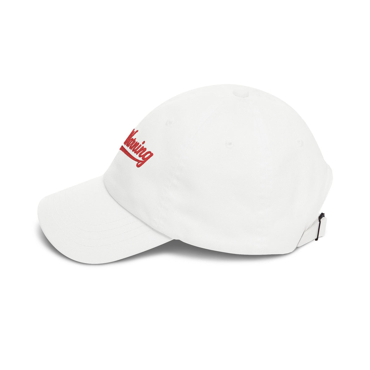 "StormWarning" Saturday Morning Dad Cap - Embroidered Hockey Fan Hat