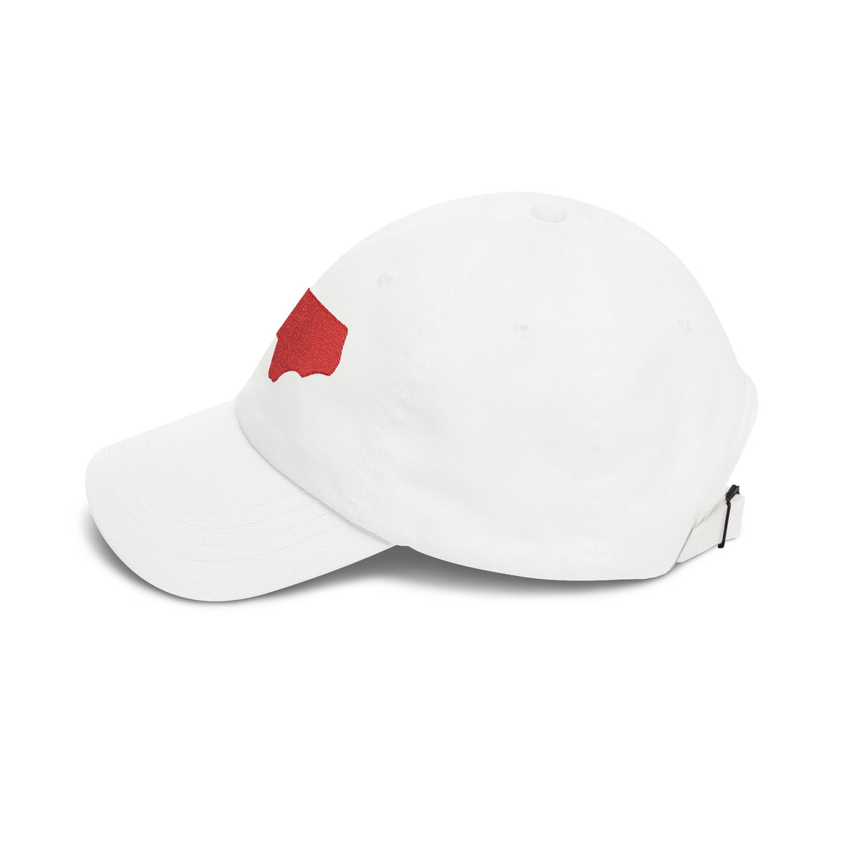 North Carolina Outline Dad Cap — Embroidered State Hat
