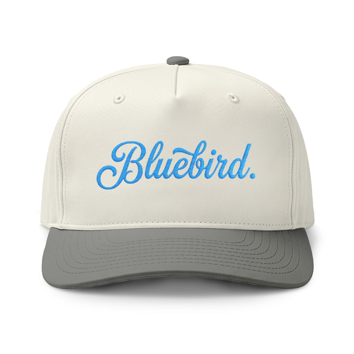 Bluebird Script Cap — Two-Tone Baseball Hat for Skiers